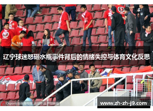 辽宁球迷怒砸水瓶事件背后的情绪失控与体育文化反思