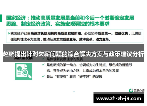 赵鹏提出针对欠薪问题的综合解决方案与政策建议分析
